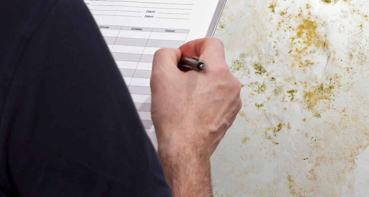 Grade your home’s mould risk using this simple checklist
