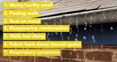 7 Hidden signs mould is in your home — Don’t wait to act now