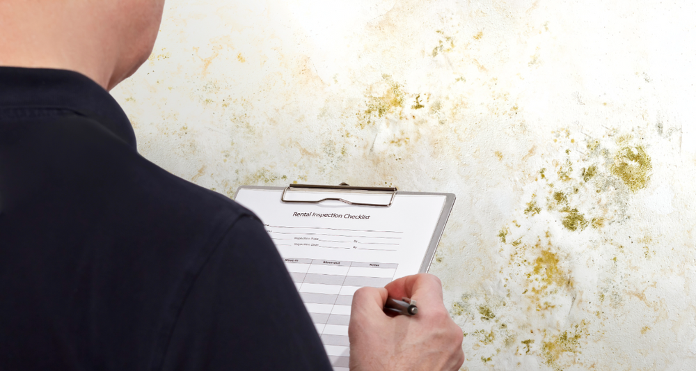 Mould growth on interior wall causing health and financial risks in rental property