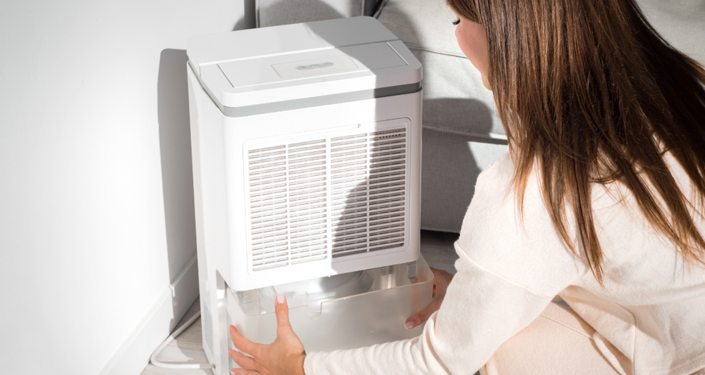 Dehumidifier being inspected by a woman